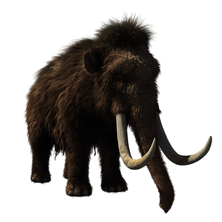 Image of a woolly mammoth Image of a woolly mammoth