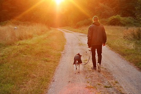 Image of a man and a dog Image of a man and a dog