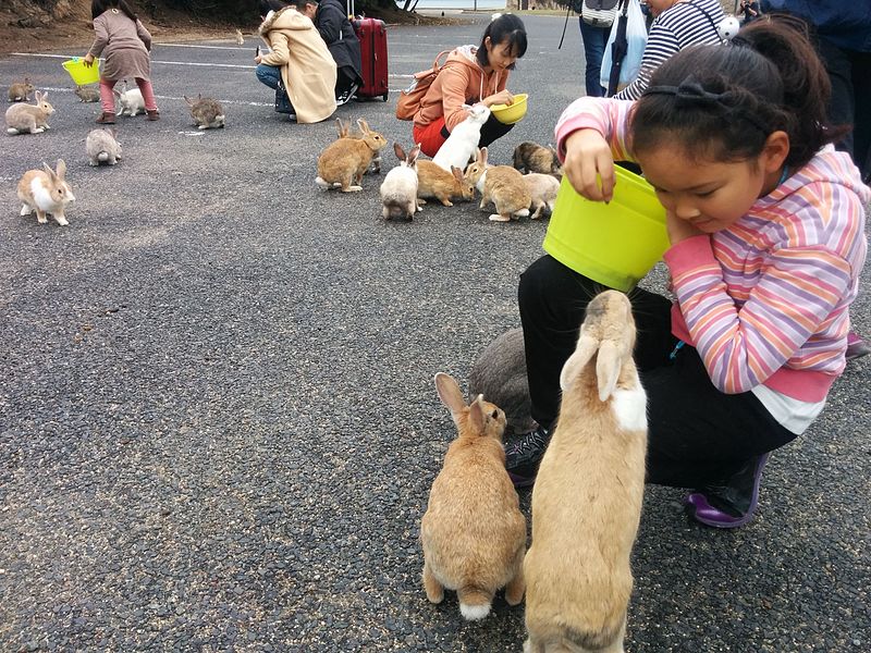 Children feeding the rabbits at Okunoshima Island. Image credit: Jdlrobson Creative Commons BY-SA 4.0