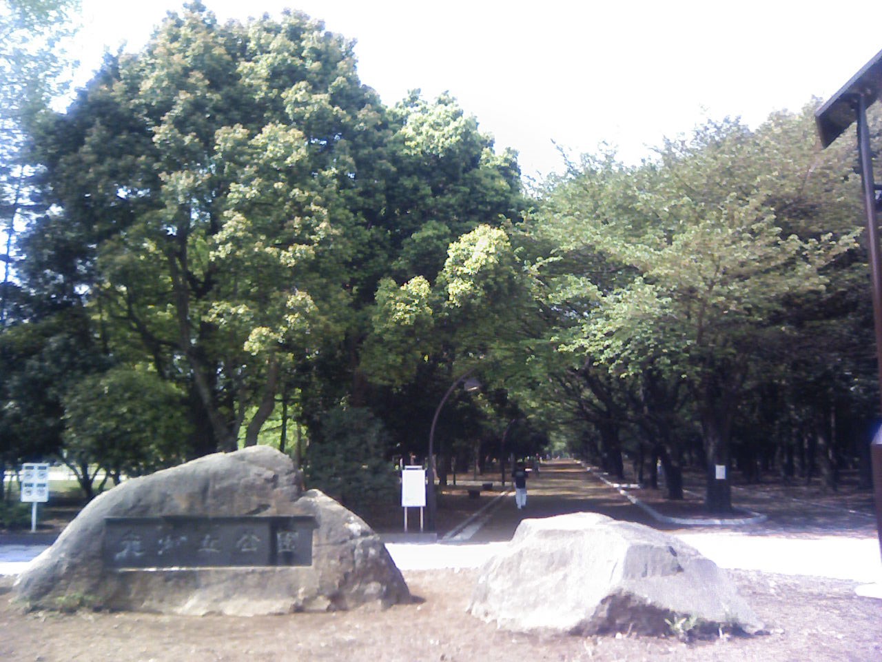 Hikarigaoka Park, Tokyo