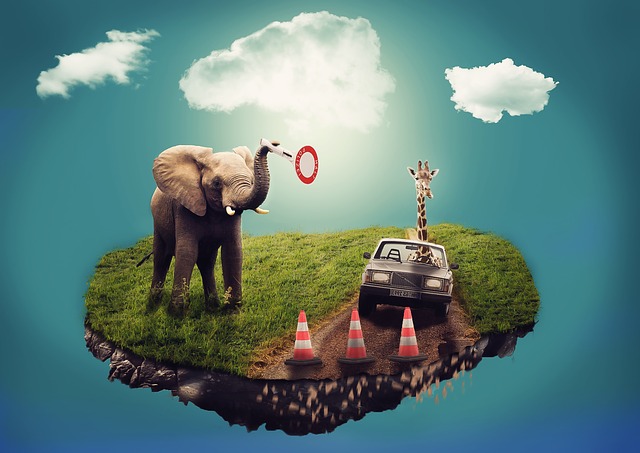 Elephant and car in a dream scene