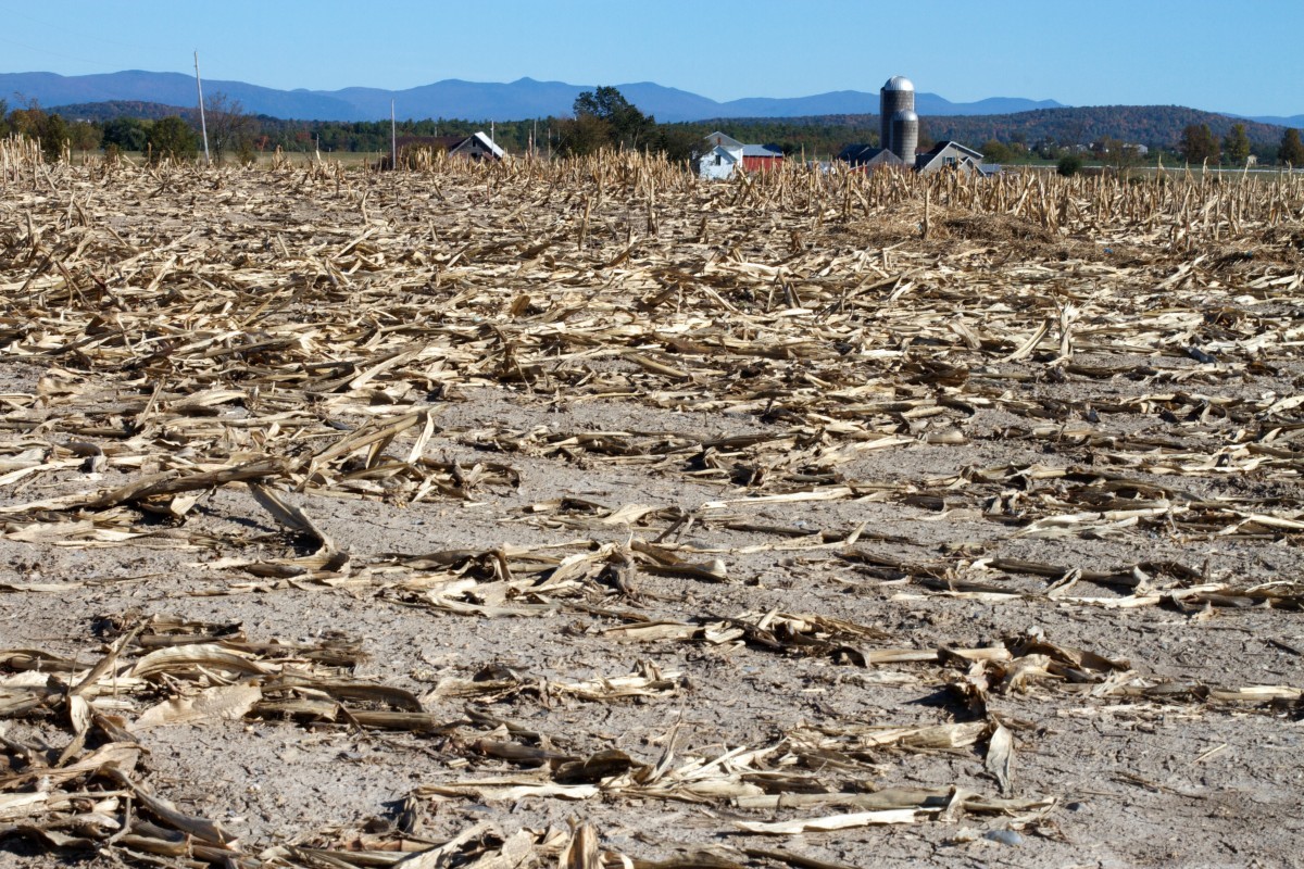 A farm after a severe drought